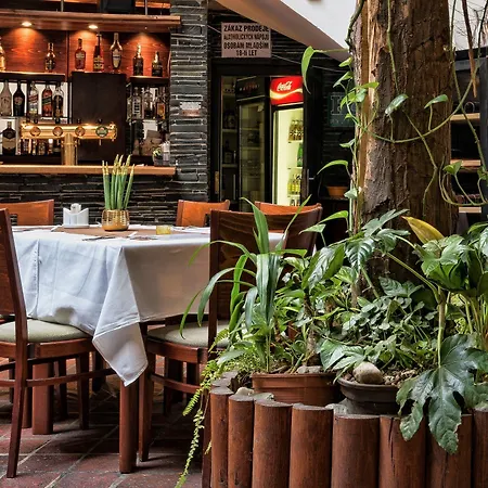 Orea Arigone Olmütz