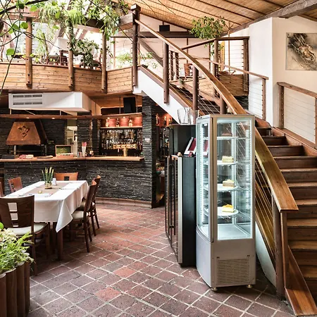 Orea Arigone Όλομουτς